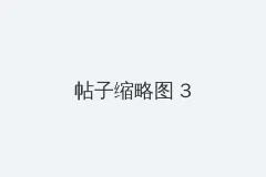 萌新上路的头像